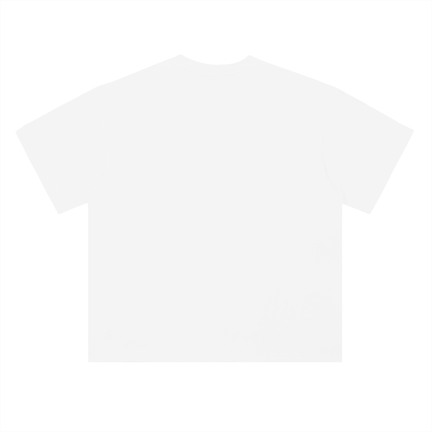 Heavyweight Drop Shoulder Cotton T-Shirt- No plan B